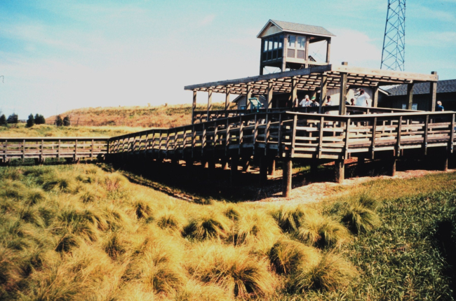 Hart-Miller Island, once two islands that nearly eroded into extinction, are now one