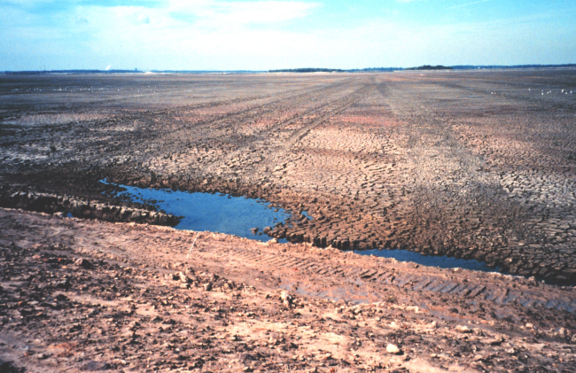 Hart-Miller Island, once two islands that nearly eroded into extinction, are now one