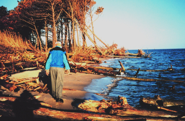 Erosion damage to Port Isobel Island as a result of Hurricane Floyd