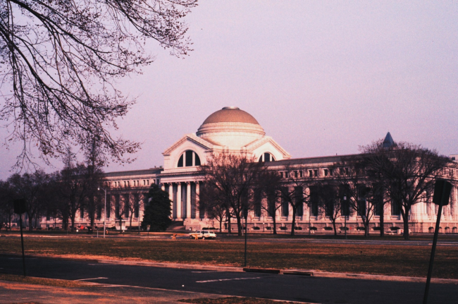 The Smithsonian Museum of Natural History, destination for many tourists