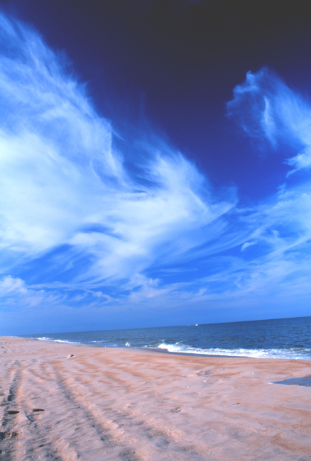 Looking north at Delaware Seashore State Park