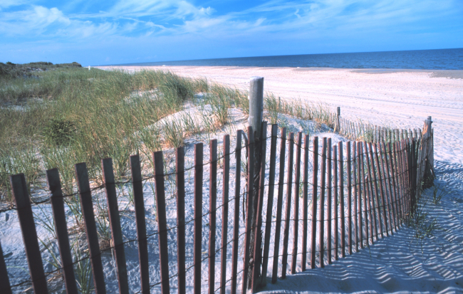 Looking from the dune line to the north at Delaware Seashore State Park