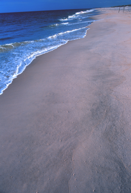 Looking south at the edge of sea and shore at Delaware Seashore State Park