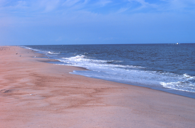 Looking north at Delaware Seashore State Park