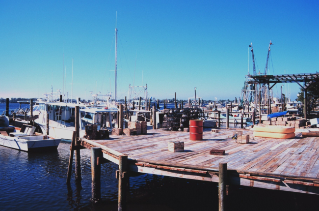 Shrimp, snapper, grouper, and stone crab fishing boats at A
