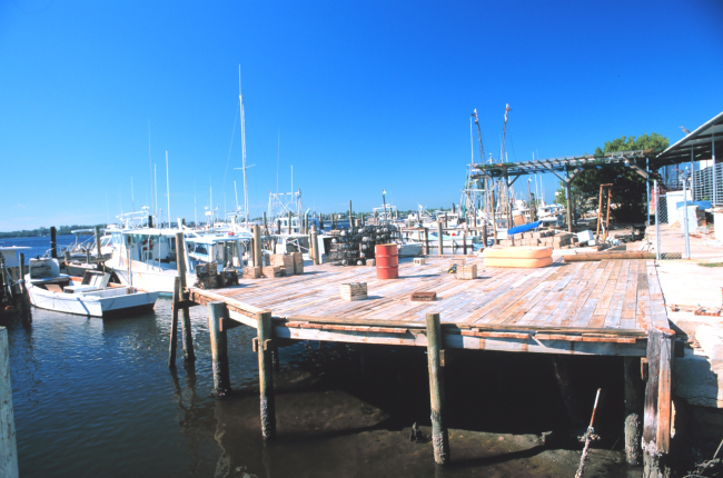 Shrimp, snapper, grouper, and stone crab fishing boats at A