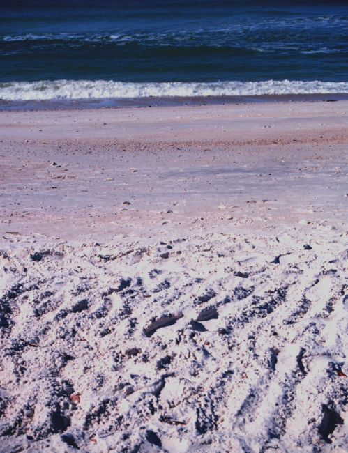 A view of the beach along the Gulf of Mexico