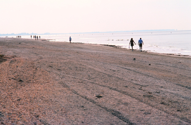 Strolling along the beach looking for the random treasure