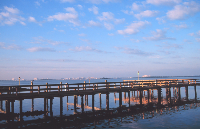 Clearwater, Florida, seen in the distance from a fishing marina