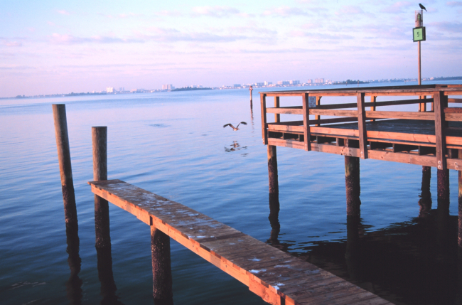 Clearwater, Florida, seen in the distance from a fishing marina