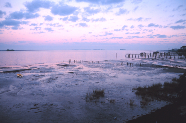 Tidal flats exposed by an early morning low tide