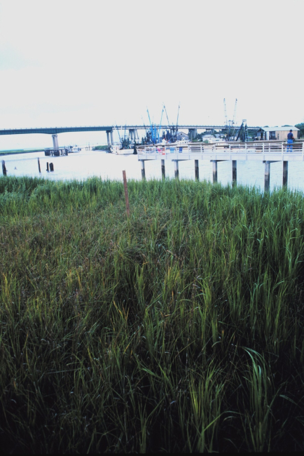 The Lazaretto Creek Bridge from Lazaretto Creek Park