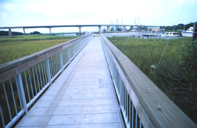A view over the wetlands to the Lazaretto Creek Bridge