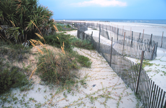 The beach at Tybee Island