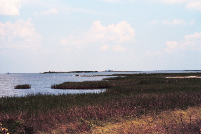 Broken marsh in Barataria Basin just west of the levee