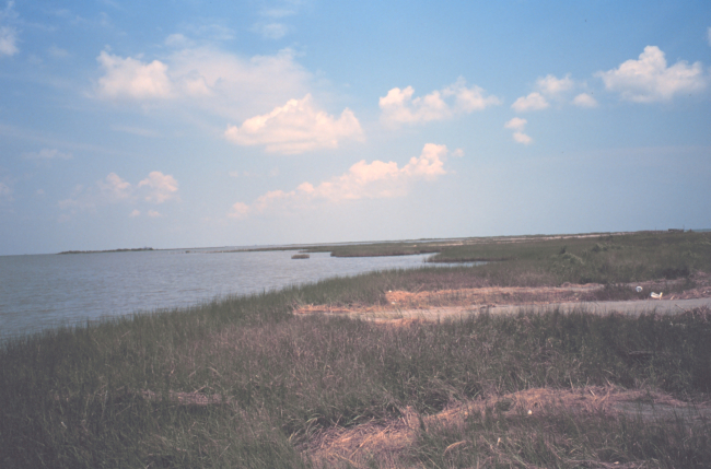 Broken marsh in Barataria Basin just west of the levee