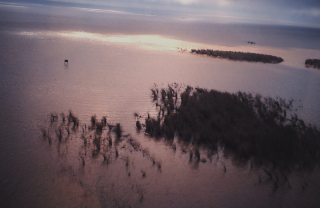Boomed marshes containing oil spill