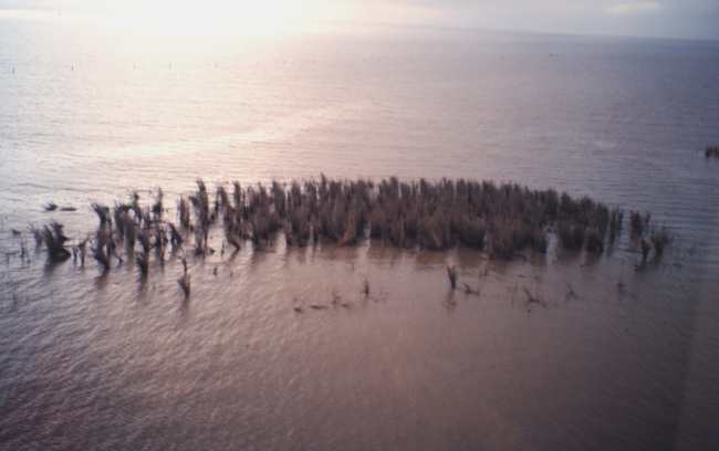 Aerial photo of eroding marsh and oil from recent well blowout