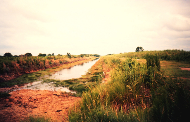 Canal used to drain property to convert and maintain former marsh land topasture