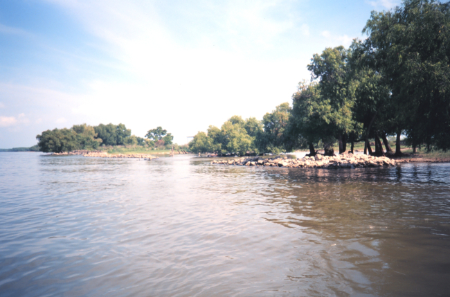 Mississippi River during moderate spring flooding