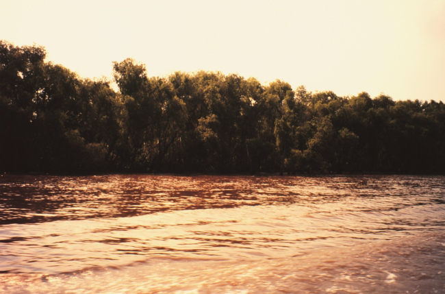 Mississippi River levee viewed from river