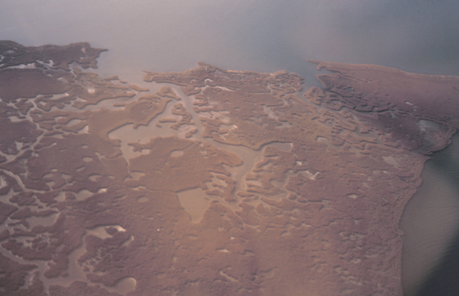 Aerial view of marsh land