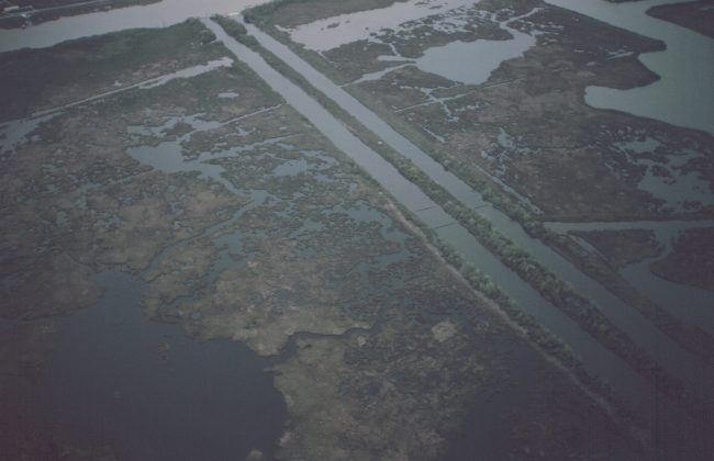 Subsiding marsh and man-made canals south of New Orleans