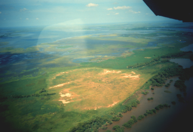 Light-colored area is dredge material deposited during maintenance of channelsin Mississippi Delta