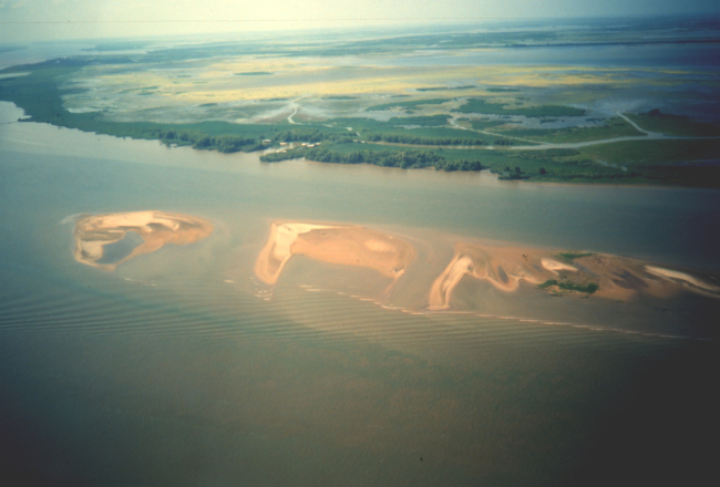 Sand bar adjacent to Pass a Loutre