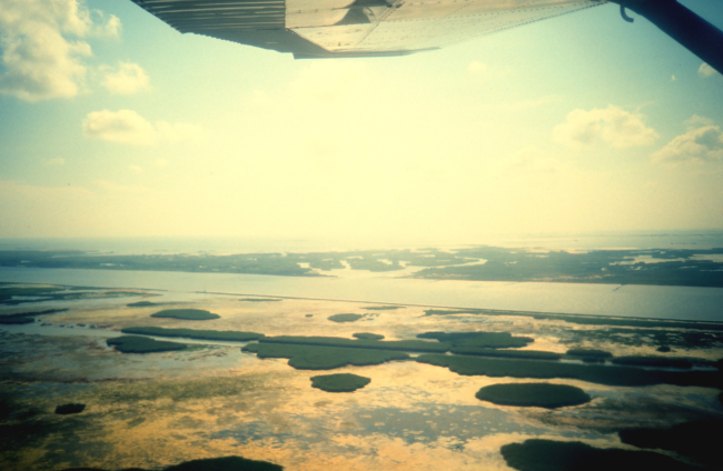 Aerial view of Mississippi Delta wetlands adjacent to Pass a Loutre