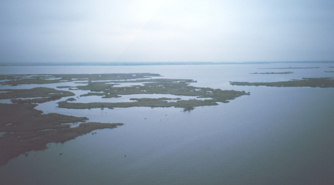 Eroding marsh peninsula between Bayous Perot and Rigolettes