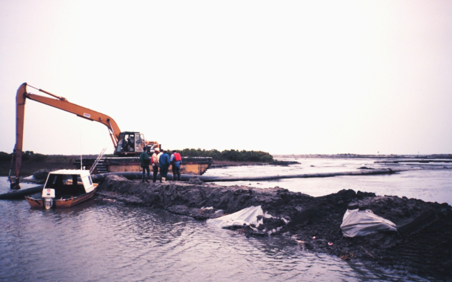 The Greenhill/East Timbalier dredge deposition  --  backhoe is used to move pipe to evenly distribute the dredge material