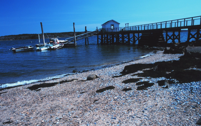 The fishermen's pier