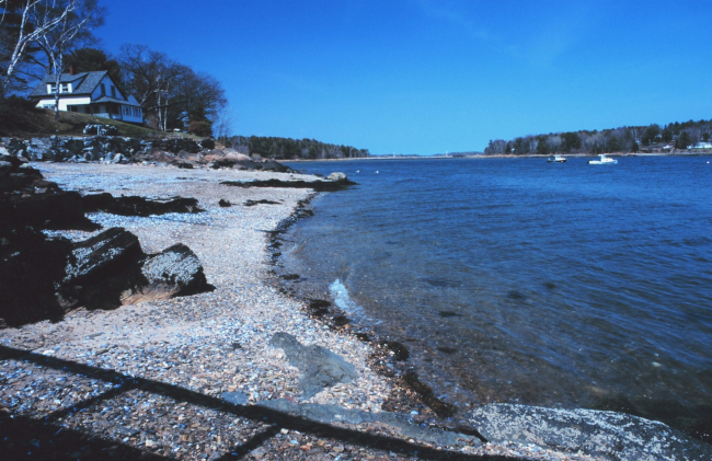 Views along the coast