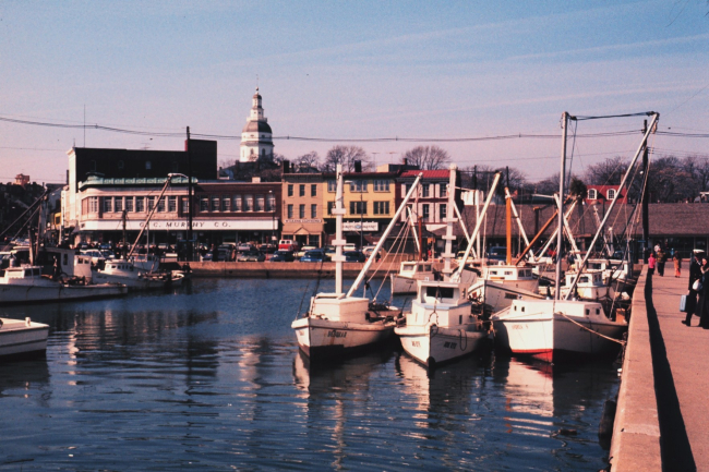 Part of the Chesapeake Bay oyster dredging fleet with statehouse in the background