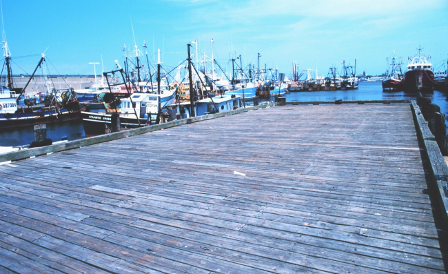 New Bedford fishing boats