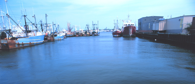 New Bedford fishing boats