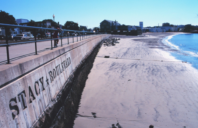 The shore at Stacy Boulevard