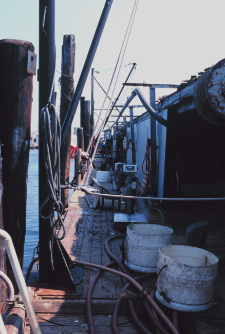 The Co-op Seafood Market and dock