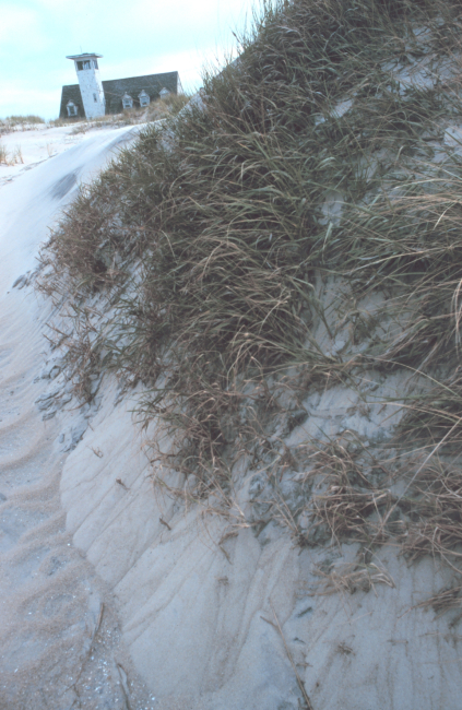 Wind-swept dunes near the abandoned Coast Guard Station