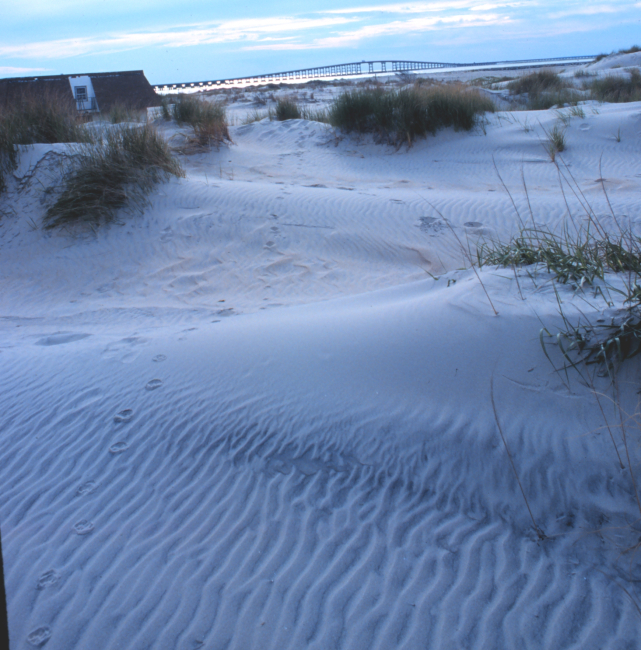 Wind-swept dunes near the abandoned Coast Guard Station