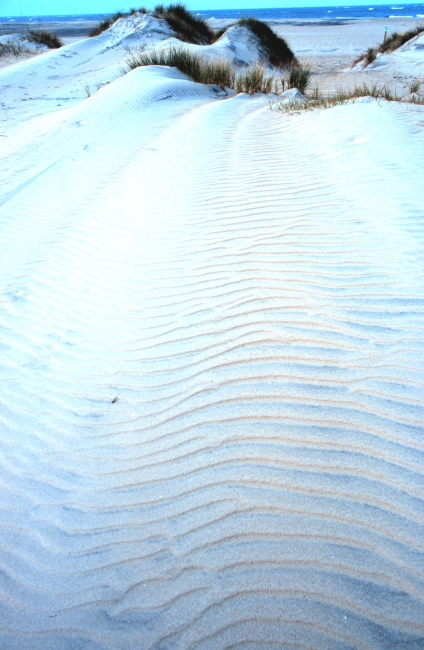 Wind-swept dunes near the abandoned Coast Guard Station