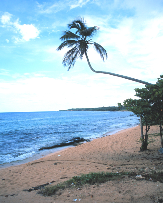 Beach near Puerto Nuevo