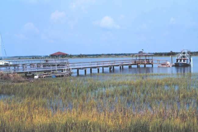 Small shrimp boat tied up at a private pier
