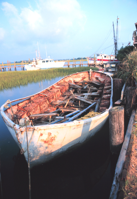 A derelict boat rotting away in the wetlands of Folly Island