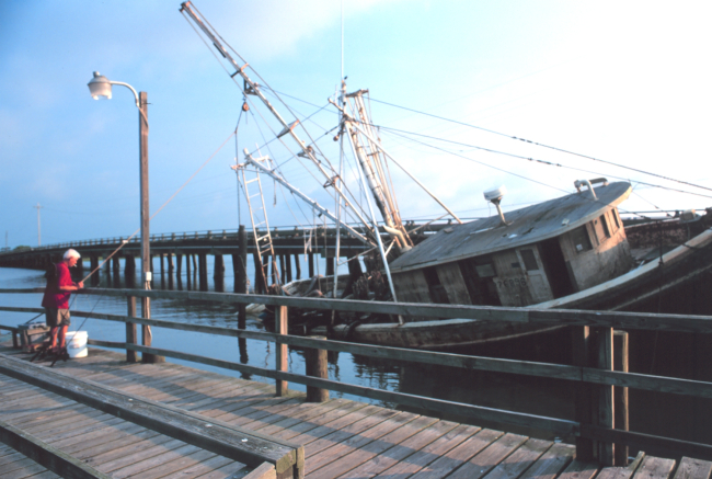 They say that fish congregate around wrecks - a fisherman trying his luck nextto a floating wreck