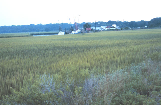 A small fishing village off Route 80