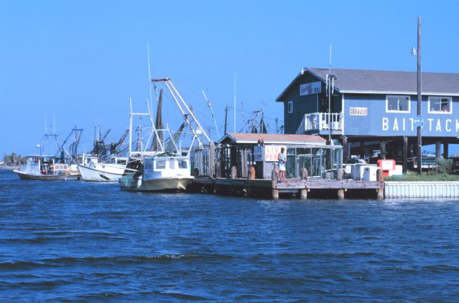 Shrimp boats tied up just south of the JFK Causeway