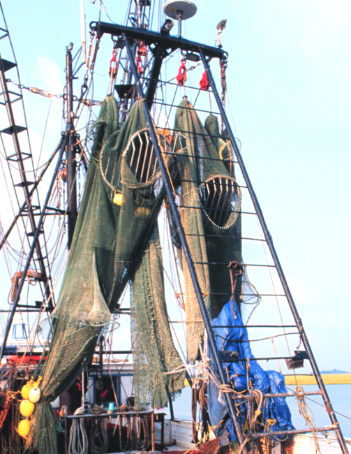 Shrimp boat drying nets