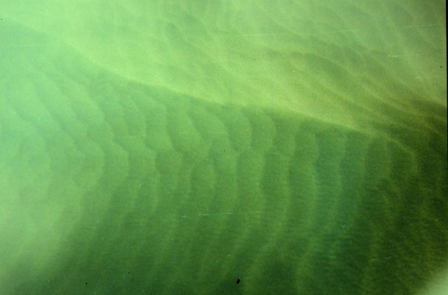 Giant sandwaves as seen from NOAA helicopter during SHOALS Lidarsurvey